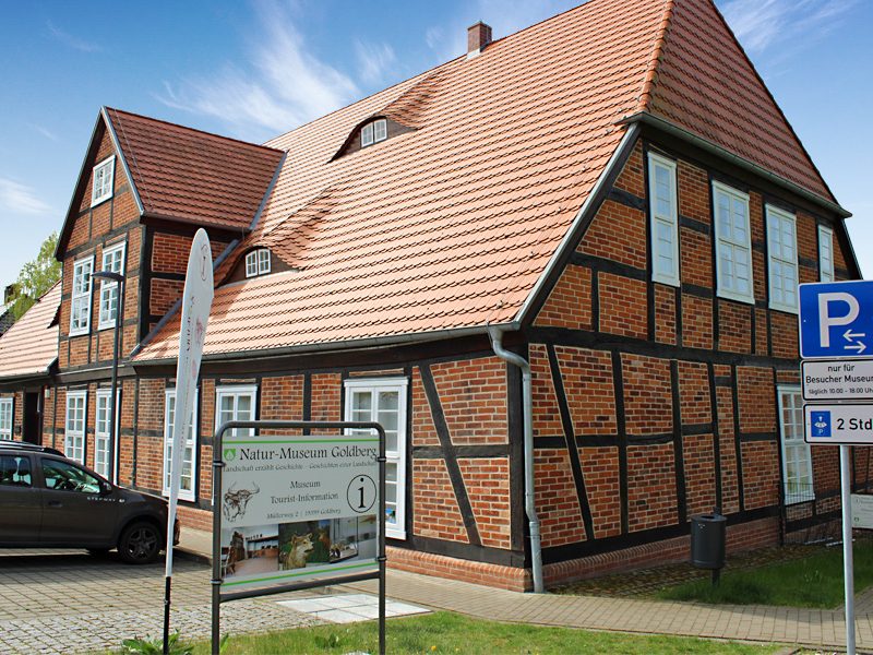 Sanierung und Umbau des Natur-Museums in Goldberg