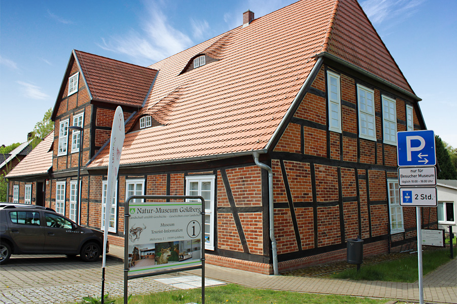 Sanierung und Umbau des Natur-Museums in Goldberg
